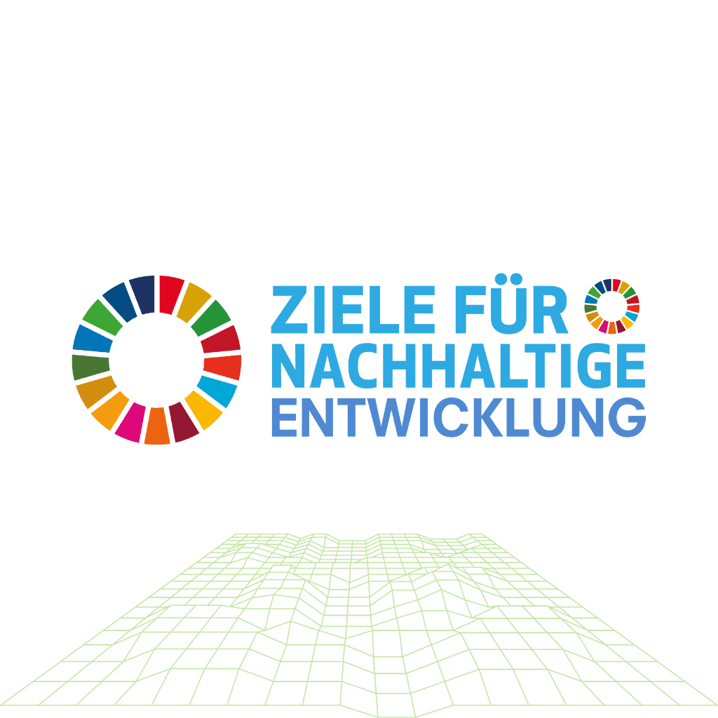 Im Webinar über Nachhaltigkeit werden auch die SDGs (Sustainable Development Goals) vorgestellt.